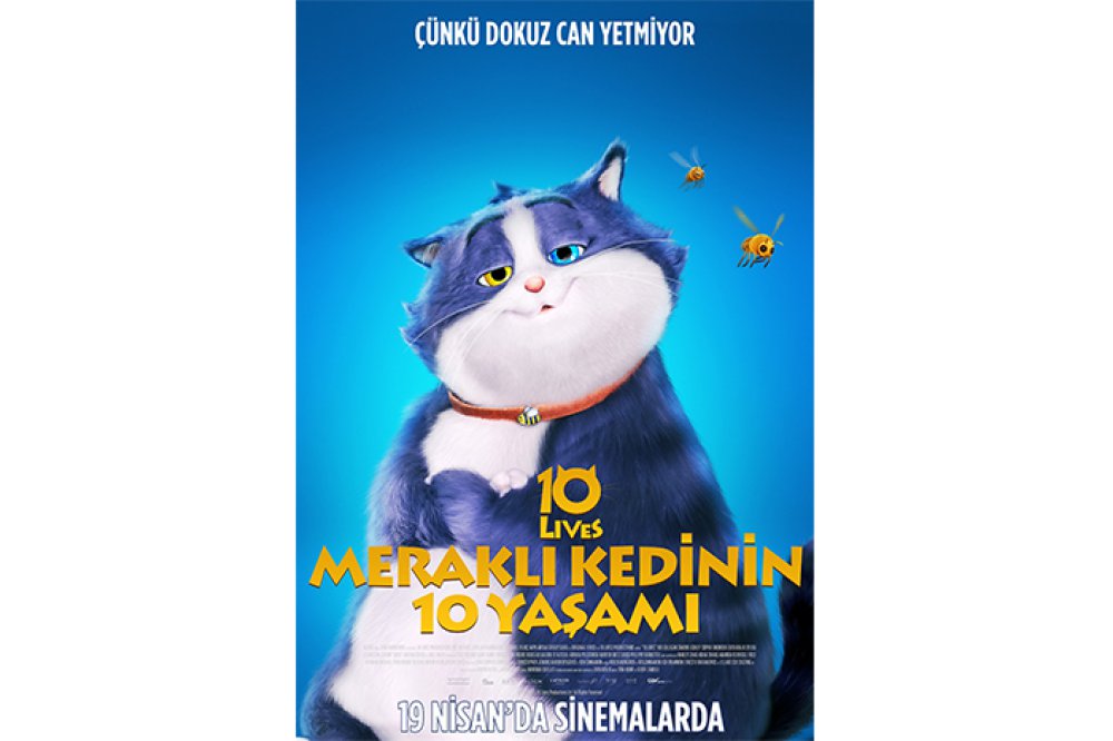 MERAKLI KEDİNİN 10 YAŞAMI