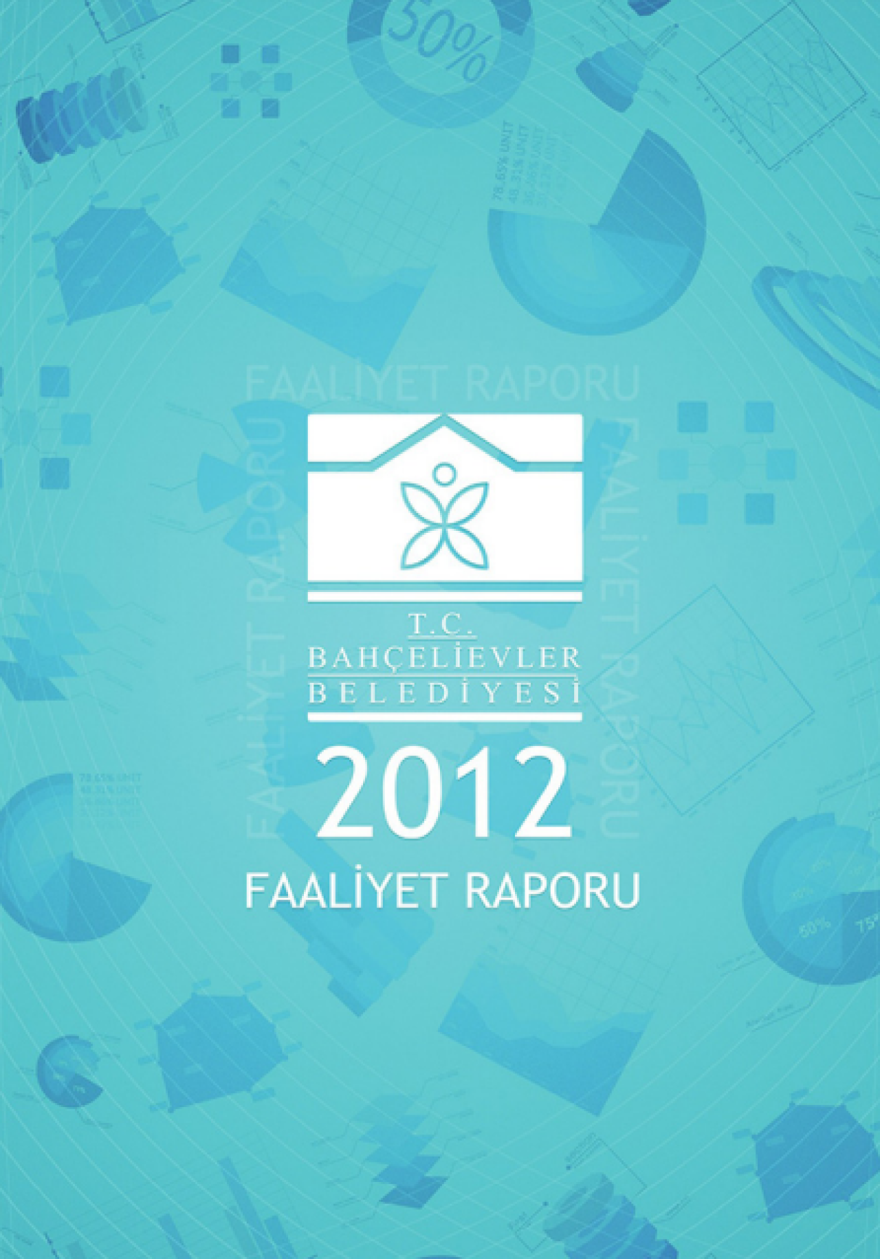 2012 Yılı Faaliyet Raporu