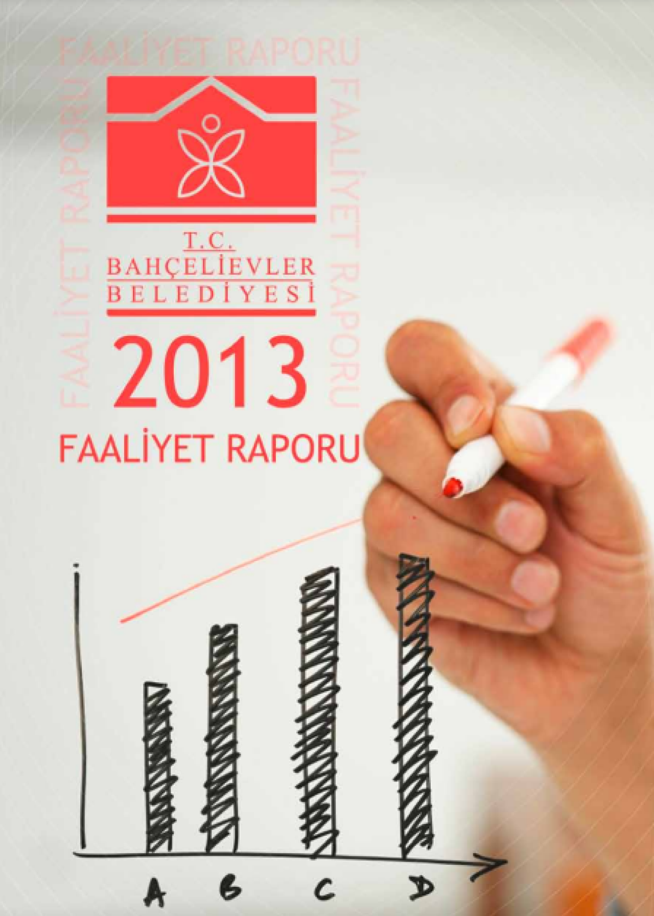2013 Yılı Faaliyet Raporu
