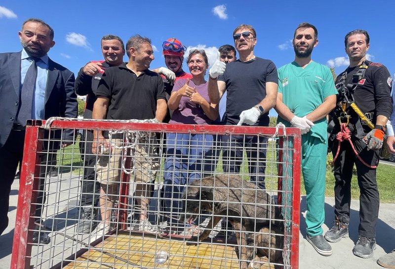 Menfezde Mahsur Kalan Köpeği Başkan Bahadır Kurtardı