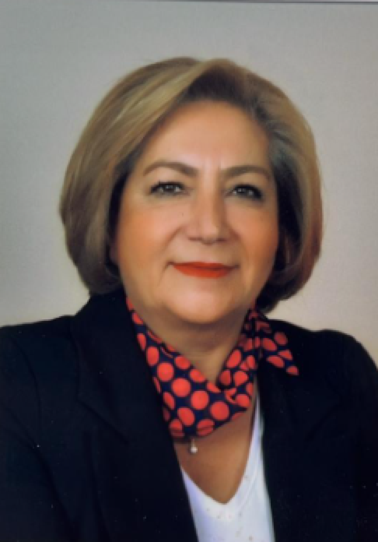Elif DEHMEN TEMİZ